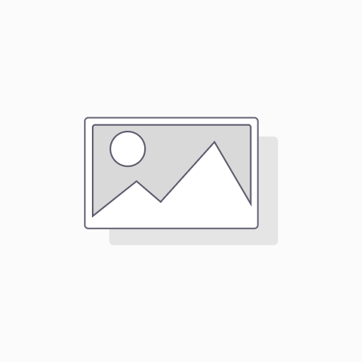 NEWLAND ROTECTIVE NFT10 CASE